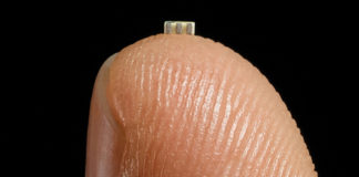 Big Hack Microchip