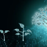 Digitale per crescere