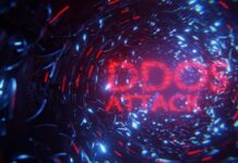 Radware Attacchi DDoS