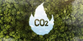 CO2 (fonte: image by Freepik)