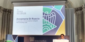 Digitale per Crescere - Annamaria Di Ruscio, presidente e amministratrice delegata di NetConsulting cube