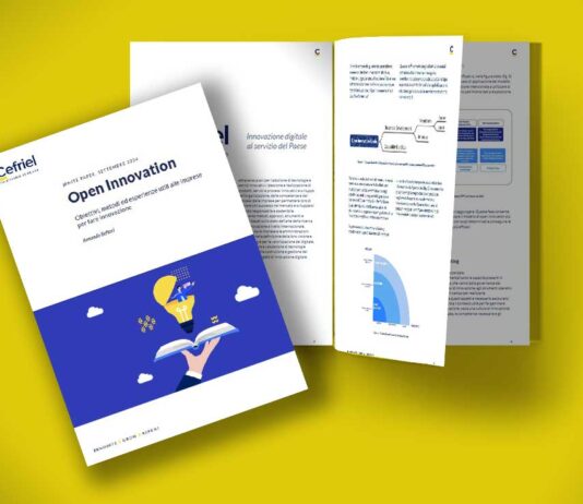 Whitepaper: Open innovation