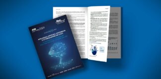 Report Cio Survey 2024 - Intelligenza artificiale, sostenibilità e ottimizzazione dei costi