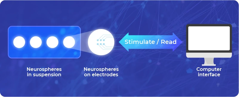 Neural-Sphere-Computer-interface