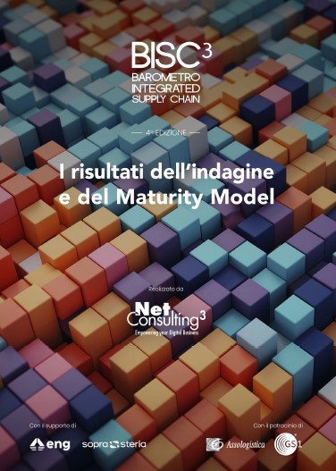 Whitepaper: Bisc3, risultati dell