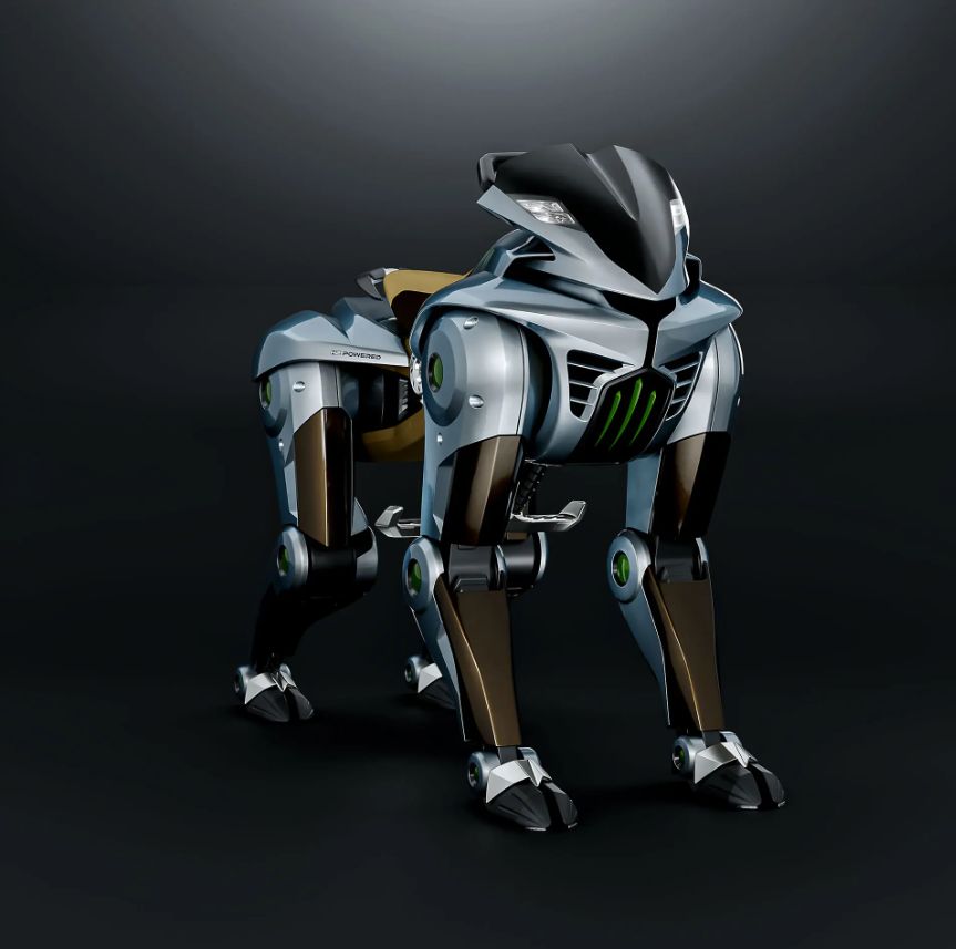 Corleo ©Kawasaki