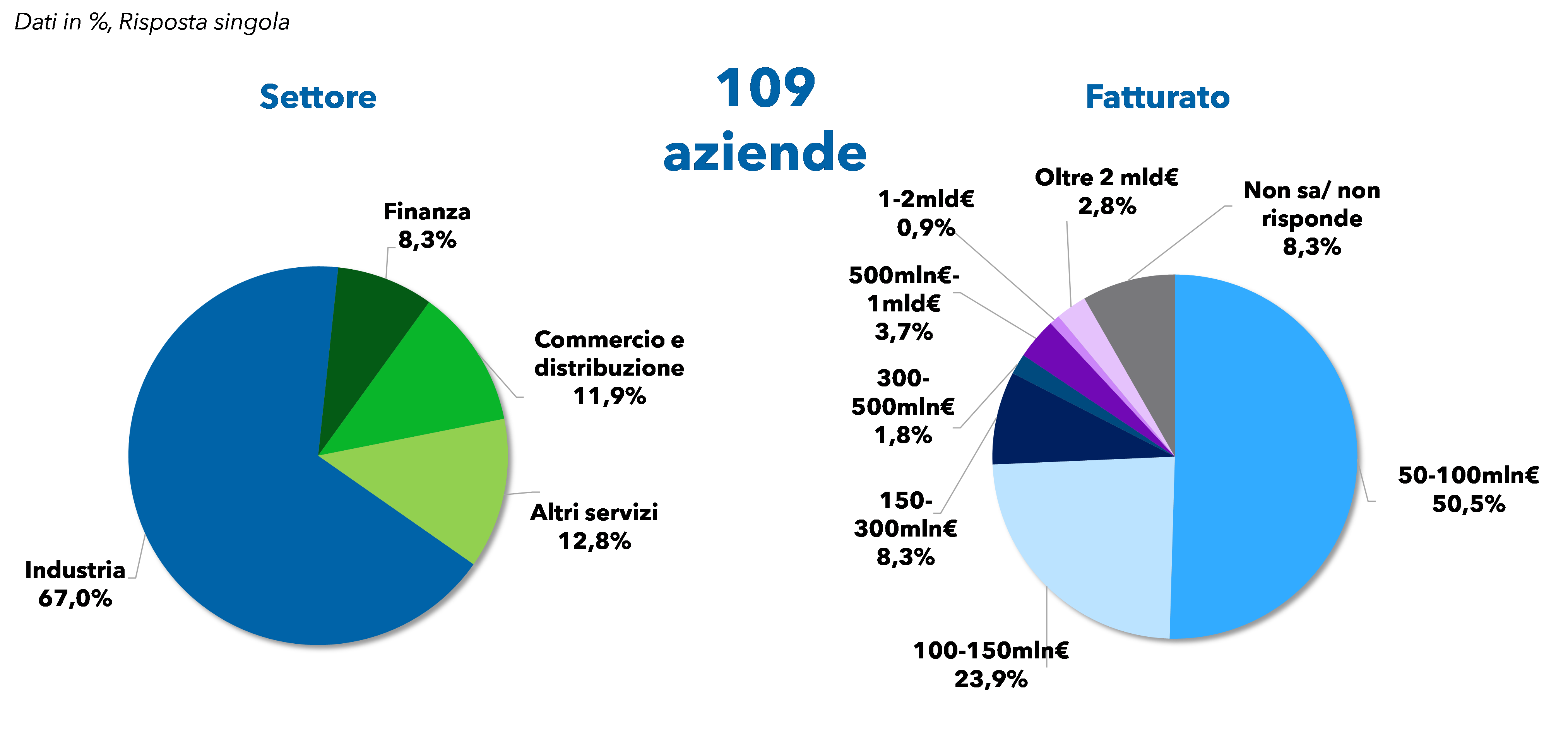 Composizione del panel per settore e dimensione – Fonte: NetConsulting cube, 2025