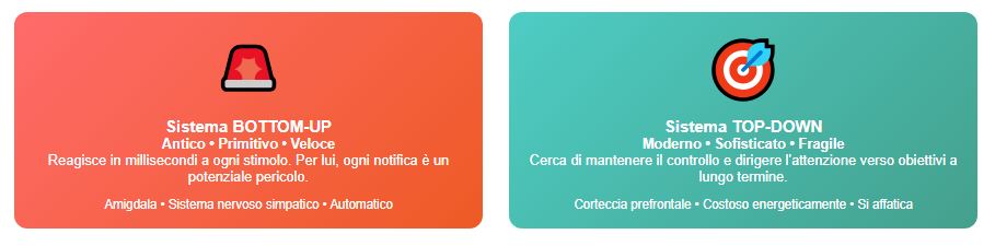 Le battaglie nel cervello