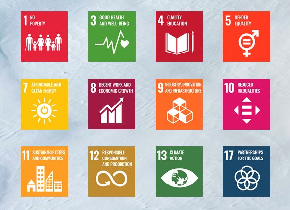 Salomon - Focus di impegno per gli obiettivi Esg