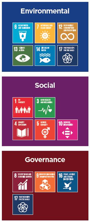 Gli impegni Sdg di Lenovo