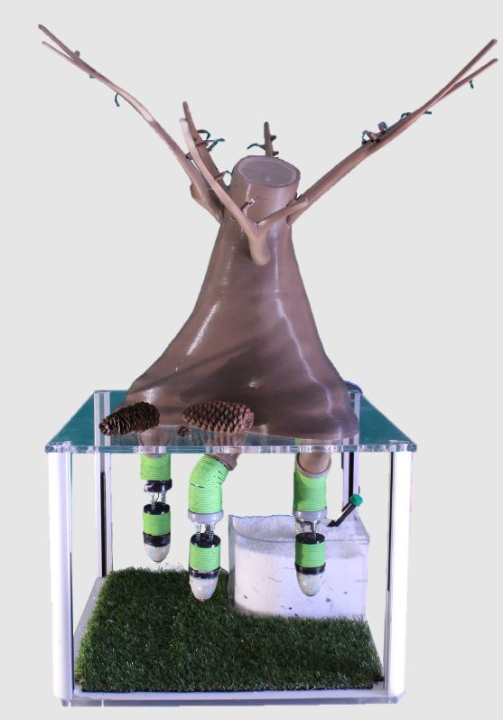 Esempio di Plantoide - Credits Istituto Italiano di Tecnologia - © IIT all rights reserved