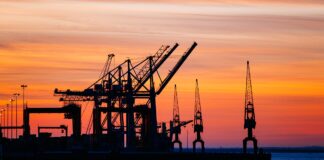 Tecon AI Conoscenza Cefriel (fonte: Freepik)