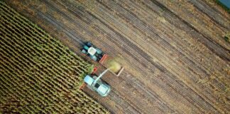 Abinsula Progetto Spada Apertura (fonte: ufficio stampa)