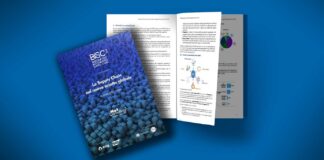 Whitepaper: Bisc3, il report