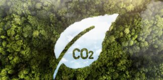 Emissioni CO2 Net Zero Immagine di freepik