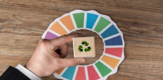 Apertura Asvis PnrrImmagine di freepik