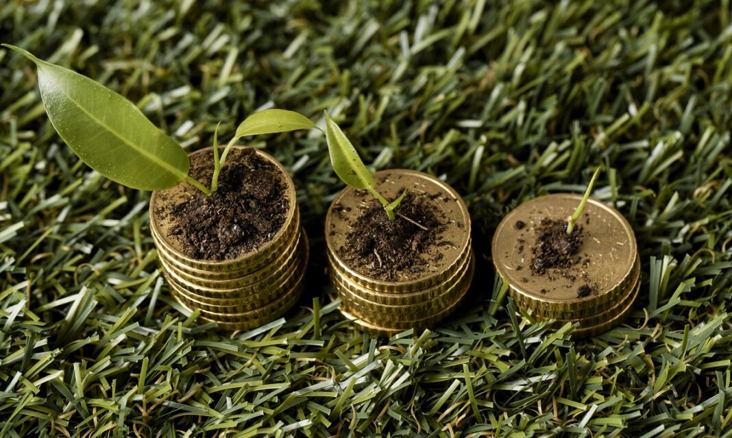 Green Economy Immagine di freepik