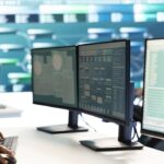 Barracuda Report Email e Web Applications Immagine di DC Studio su Magnific
