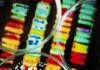 Thremodynamic Computing AperturaImmagine di magnific