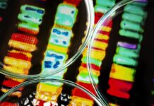Thremodynamic Computing AperturaImmagine di magnific