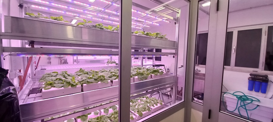 Un dettaglio dell'impianto di produzione PharmaGreen