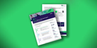 Whitepaper: Delinea Partner Advantage Program